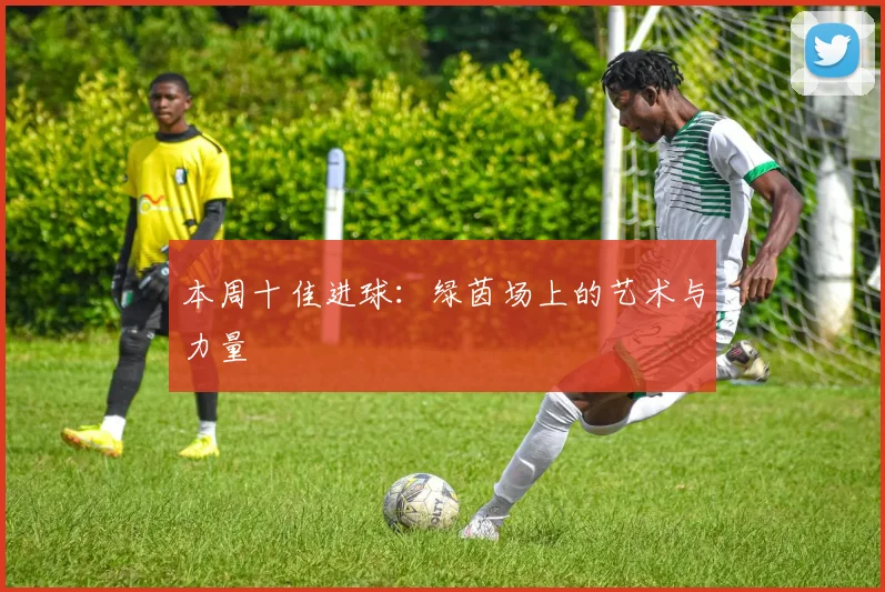 本周十佳进球：绿茵场上的艺术与力量