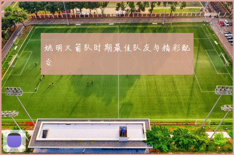 姚明火箭队时期最佳队友与精彩配合