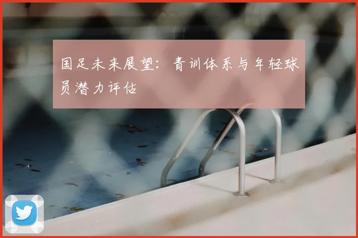 国足未来展望：青训体系与年轻球员潜力评估