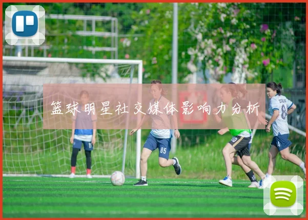 篮球明星社交媒体影响力分析
